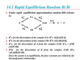 14.1 Rapid Equilibrium Random Bi Bi
 Under rapid equilibrium approximation random bibi scheme
is:
 KsA for the dissociation of the complex EA: KsA =[E][A]/[EA],
 KsB for the dissociation of the complex EB: KsB =[E] [B]/[EB],
 KAm for the dissociation of A from the complex EAB: KAm = [EB]
[A]/[EAB],
 KBm for the dissociation of B from the complex EAB: KBm
=[EA][B]/[EAB].
Since the system is at equilibrium, the four constants are related by the
thermodynamic relationship:
 