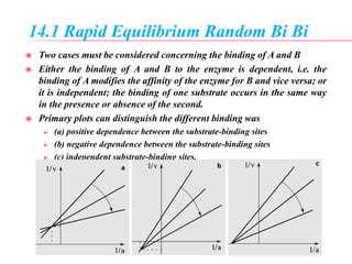 14.1 Rapid Equilibrium Random Bi Bi
 Two cases must be considered concerning the binding of A and B
 Either the binding of A and B to the enzyme is dependent, i.e. the
binding of A modifies the affinity of the enzyme for B and vice versa; or
it is independent; the binding of one substrate occurs in the same way
in the presence or absence of the second.
 Primary plots can distinguish the different binding was
 (a) positive dependence between the substrate-binding sites
 (b) negative dependence between the substrate-binding sites
 (c) independent substrate-binding sites.
 