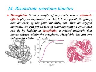 14. Bisubstrate reactions kinetics
 Hemoglobin is an example of a protein where allosteric
effects play an important role. Each heme prosthetic group,
one on each of the four subunits, can bind an oxygen
molecule. We can get an idea of what one subunit on its own
can do by looking at myoglobin, a related molecule that
moves oxygen within the cytoplasm. Myoglobin has just one
polypeptide chain and one heme.
 