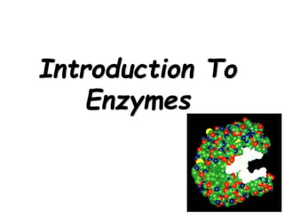 Introduction To
Enzymes
 