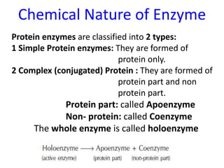 Enzymology | PPT
