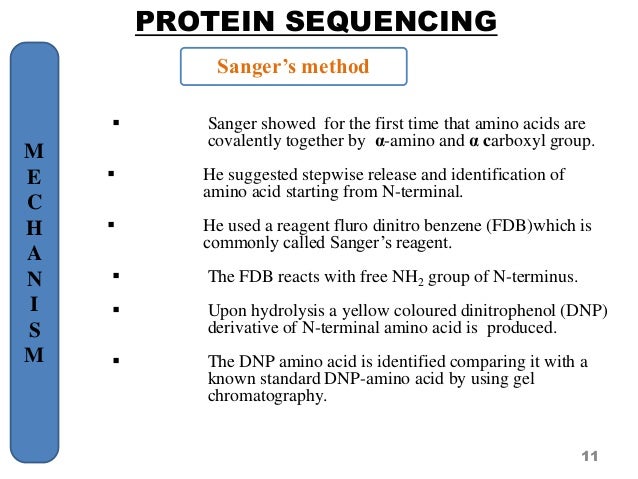 enzymology namrata protein sequencing