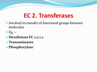 EC 2. Transferases
 Involved in transfer of functional groups between
molecules
 Eg. :-
➢Hexokinase EC 2.7.1.1.
➢Transam...