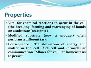 Properties
 Vital for chemical reactions to occur in the cell
(the breaking, forming and rearranging of bonds
on a substr...