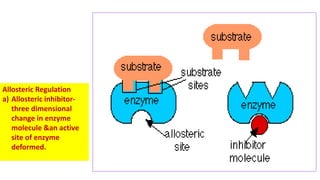 Enzymology enzyme inhibition &therapeutic uses | PDF