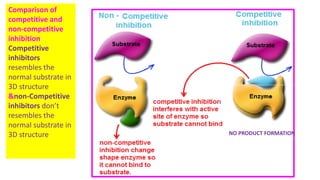 Enzymology enzyme inhibition &therapeutic uses | PDF