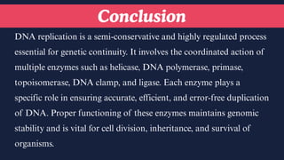 Comprehensive Enzymology of DNA Replication: Mechanisms and Key Enzymes ...