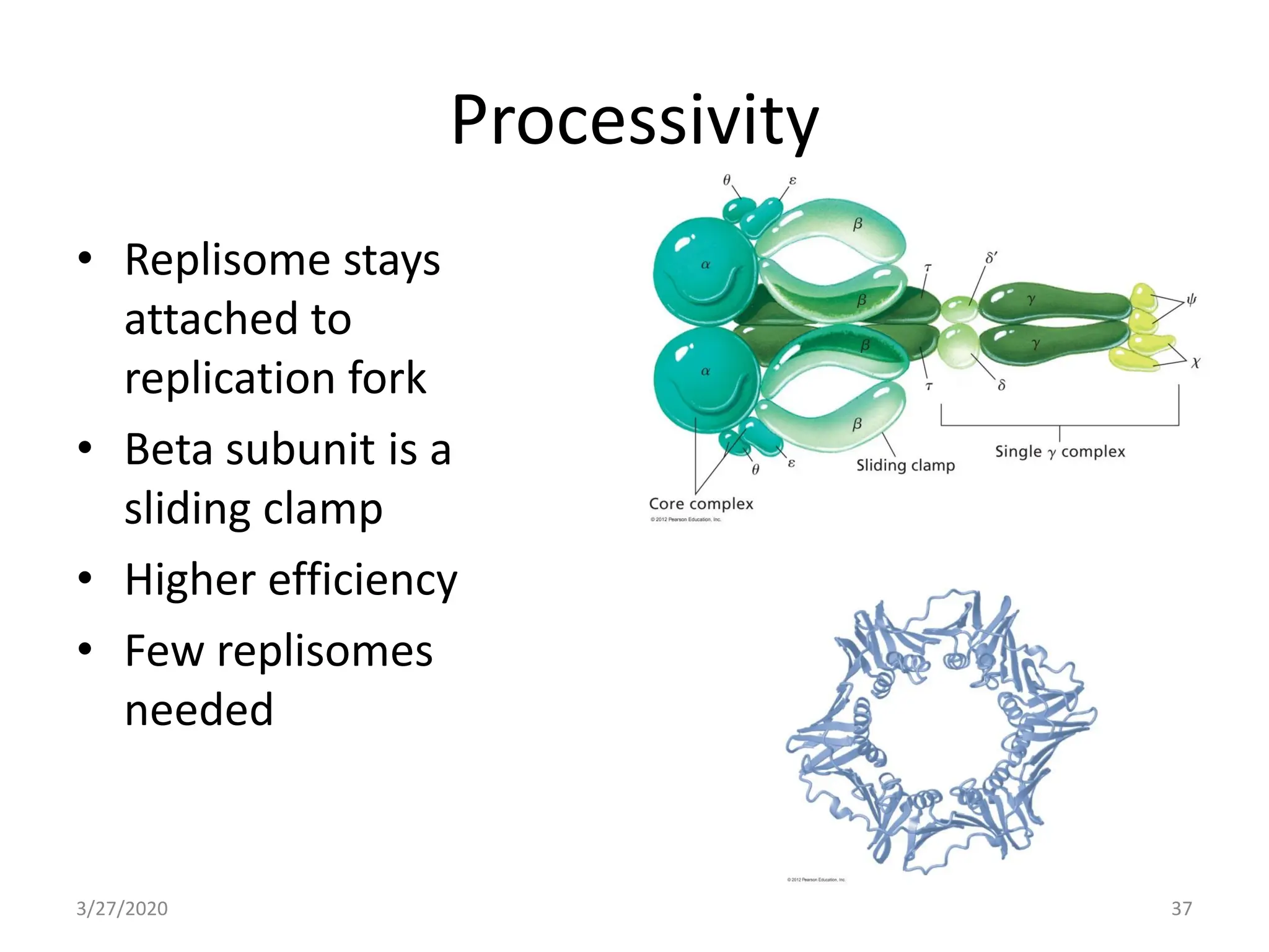 Processivity Enzymology of DNA Replication - I (Prokaryotic DNA Polymerases).pdf