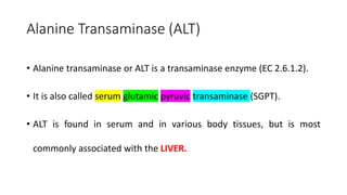Alanine Transaminase (ALT)
• Alanine transaminase or ALT is a transaminase enzyme (EC 2.6.1.2).
• It is also called serum glutamic pyruvic transaminase (SGPT).
• ALT is found in serum and in various body tissues, but is most
commonly associated with the LIVER.
 