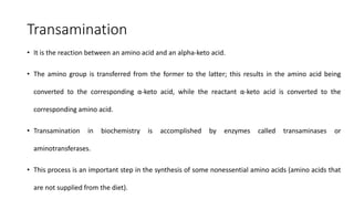 Transamination
• It is the reaction between an amino acid and an alpha-keto acid.
• The amino group is transferred from the former to the latter; this results in the amino acid being
converted to the corresponding α-keto acid, while the reactant α-keto acid is converted to the
corresponding amino acid.
• Transamination in biochemistry is accomplished by enzymes called transaminases or
aminotransferases.
• This process is an important step in the synthesis of some nonessential amino acids (amino acids that
are not supplied from the diet).
 