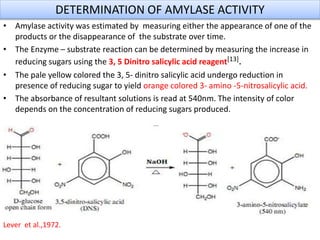 DETERMINATION OF AMYLASE ACTIVITY
• Amylase activity was estimated by measuring either the appearance of one of the
products or the disappearance of the substrate over time.
• The Enzyme – substrate reaction can be determined by measuring the increase in
reducing sugars using the 3, 5 Dinitro salicylic acid reagent[13].
• The pale yellow colored the 3, 5- dinitro salicylic acid undergo reduction in
presence of reducing sugar to yield orange colored 3- amino -5-nitrosalicylic acid.
• The absorbance of resultant solutions is read at 540nm. The intensity of color
depends on the concentration of reducing sugars produced.
Lever et al.,1972.
 
