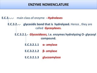 ENZYME NOMENCLATURE
E.C.3.-.-.- main class of enzyme - Hydrolases
E.C.3.2.-.- glycosidic bond that is hydrolyzed. Hence , they are
called Gycosylases.
E.C.3.2.1.- Glycosidases, i.e. enzymes hydrolyzing O- glycosyl
compound.
E.C.3.2.1.1 α- amylase
E.C.3.2.1.2 β- amylase
E.C.3.2.1.3 glucoamylase
ENZYME NOMENCLATURE
 