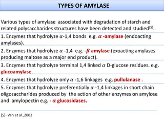 Various types of amylase associated with degradation of starch and
related polysaccharides structures have been detected and studied[5].
1. Enzymes that hydrolyze 𝛼-1,4 bonds e.g. 𝜶 -amylase (endoacting
amylases).
2. Enzymes that hydrolyze 𝛼 -1,4 e.g. -𝜷 amylase (exoacting amylases
producing maltose as a major end product).
3. Enzymes that hydrolyze terminal 1,4 linked 𝛼 D-glucose residues. e.g.
glucoamylase.
4. Enzymes that hydrolyze only 𝛼 -1,6 linkages e.g. pullulanase .
5. Enzymes that hydrolyze preferentially 𝛼 -1,4 linkages in short chain
oligosaccharides produced by the action of other enzymes on amylose
and amylopectin e.g. - 𝜶 glucosidases.
[5]- Van et al.,2002
TYPES OF AMYLASE
 