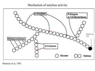 Mechanism of amylase activity
.
Manners et al, 1992
 