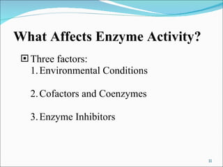 What Affects Enzyme Activity? Three factors: 1. Environmental Conditions 2. Cofactors and Coenzymes 3. Enzyme Inhibitors 