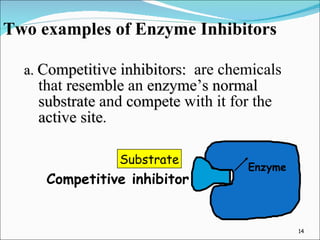 Two examples of Enzyme Inhibitors a.  Competitive inhibitors:   are chemicals that  resemble  an  enzyme’s normal substrate  and  compete  with it for the  active site . Substrate Enzyme Competitive inhibitor 