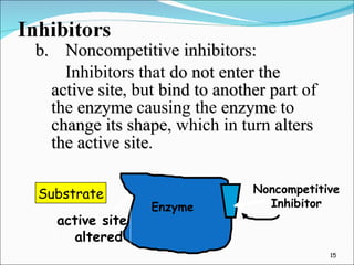 b. Noncompetitive inhibitors: Inhibitors that  do not enter the active site , but  bind to another part  of the  enzyme  causing the  enzyme  to  change its shape , which in turn  alters the active site . Substrate Enzyme active site altered Noncompetitive Inhibitor 