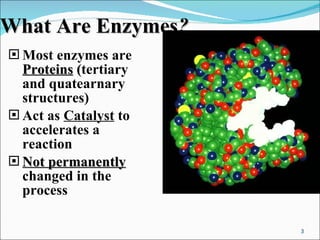 What   Are   Enzymes ? Most enzymes are  Proteins  ( tertiary and quatearnary structures) Act as  Catalyst  to  accelerates a reaction  Not permanently   changed in the process 