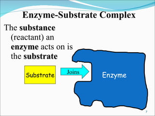 Enzyme-Substrate Complex The  substance  (reactant) an  enzyme  acts on is the  substrate Substrate Joins Enzyme 