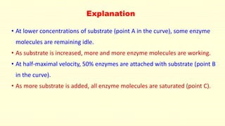 Explanation
• At lower concentrations of substrate (point A in the curve), some enzyme
molecules are remaining idle.
• As substrate is increased, more and more enzyme molecules are working.
• At half-maximal velocity, 50% enzymes are attached with substrate (point B
in the curve).
• As more substrate is added, all enzyme molecules are saturated (point C).
 