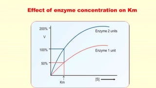 Effect of enzyme concentration on Km
 