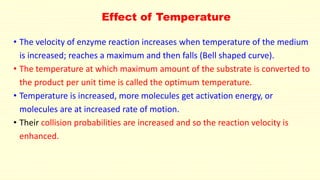Effect of Temperature
• The velocity of enzyme reaction increases when temperature of the medium
is increased; reaches a maximum and then falls (Bell shaped curve).
• The temperature at which maximum amount of the substrate is converted to
the product per unit time is called the optimum temperature.
• Temperature is increased, more molecules get activation energy, or
molecules are at increased rate of motion.
• Their collision probabilities are increased and so the reaction velocity is
enhanced.
 