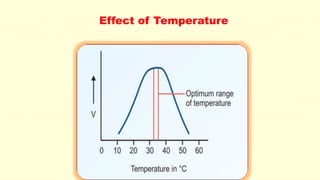 Effect of Temperature
 