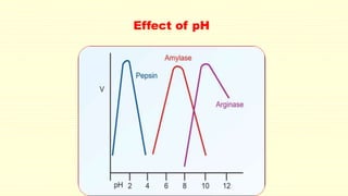Effect of pH
 