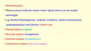 • Metalloenzyme:
• These enzymes hold the metals rather tightly which are not readily
exchanged.
• e.g. Alcohol dehydrogenase, carbonic anhydrase, alkaline phosphatase,
carboxypeptidase and aldolase contain zinc.
• Phenol oxidase (copper)
• Pyruvate oxidase (manganese)
• Xanthine oxidase (molybdenum)
• Cytochrome oxidase (iron and copper)
 