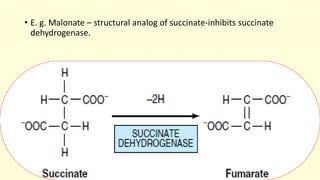 • E. g. Malonate – structural analog of succinate-inhibits succinate
dehydrogenase.
 