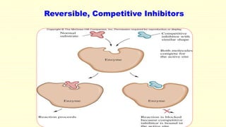 Reversible, Competitive Inhibitors
 