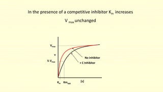 In the presence of a competitive inhibitor Km increases
V max unchanged
No inhibitor
+ C Inhibitor
Vmax
½ Vmax
Km Kmapp
[s]
v
 