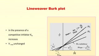 Lineweaver Burk plot
[I]2
[I]1
1
Kmapp
1
Km
• In the presence of a
competitive inhibitor Km
increases
• V max unchanged
 