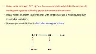• Heavy metal ions (Ag+, Pb2+, Hg2+ etc.) can non-competitively inhibit the enzymes by
binding with cysteinyl sulfhydryl groups & inactivates the enzymes.
• Heavy metals also form covalent bonds with carboxyl groups & histidine, results in
irreversible inhibition.
• Non-competitive inhibition is also called as enzyme poisons
E + S ES
+
I
EI + S
E + P
+
I
EIS
 