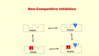 Non-Competitive Inhibition
Enzyme Enzyme
Enzyme Enzyme
S
I
S
I
 