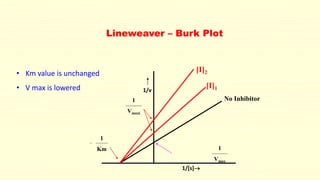 Lineweaver – Burk Plot
[I]2
[I]1
No Inhibitor
1
Vmax
1
Vmaxi
1
Km
1/[s]
1/v
• Km value is unchanged
• V max is lowered
 
