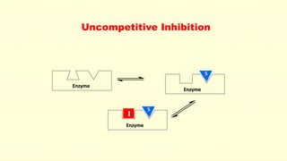 Uncompetitive Inhibition
Enzyme
Enzyme
S
Enzyme
I
S
 