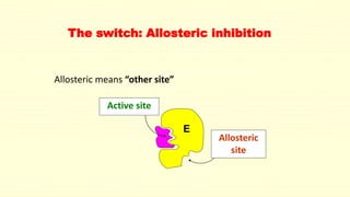 The switch: Allosteric inhibition
Allosteric means “other site”
E
Active site
Allosteric
site
 