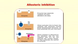 Allosteric inhibition
 