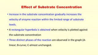 Effect of Substrate Concentration
• Increase in the substrate concentration gradually increases the
velocity of enzyme reaction within the limited range of substrate
levels.
• A rectangular hyperbola is obtained when velocity is plotted against
the substrate concentration
• Three distinct phases of the reaction are observed in the graph (A-
linear; B-curve; C-almost unchanged.
 