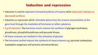 Induction and repression
• Induction is used to represent increased synthesis of enzyme while repression indicates its
decreased synthesis.
• Induction or repression which ultimately determines the enzyme concentration at the
gene level through the mediation of hormones or other substance.
• E.g of Induction: The hormone insulin induces the synthesis of glycogen synthetase,
glucokinase, phosphofructokinase and pyruvate kinase.
• All these enzymes are involved in the utilization of glucose.
• The hormone cortisol induces the synthesis of many enzymes e.g. pyruvate carboxylase,
tryptophan oxygenase and tyrosine aminotransferase
 
