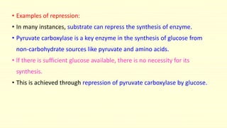 • Examples of repression:
• In many instances, substrate can repress the synthesis of enzyme.
• Pyruvate carboxylase is a key enzyme in the synthesis of glucose from
non-carbohydrate sources like pyruvate and amino acids.
• lf there is sufficient glucose available, there is no necessity for its
synthesis.
• This is achieved through repression of pyruvate carboxylase by glucose.
 