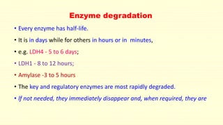 Enzyme degradation
• Every enzyme has half-life.
• It is in days while for others in hours or in minutes,
• e.g. LDH4 - 5 to 6 days;
• LDH1 - 8 to 12 hours;
• Amylase -3 to 5 hours
• The key and regulatory enzymes are most rapidly degraded.
• lf not needed, they immediately disappear and, when required, they are
 