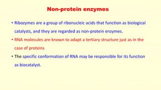 Non-protein enzymes
• Ribozymes are a group of ribonucleic acids that function as biological
catalysts, and they are regarded as non-protein enzymes.
• RNA molecules are known to adapt a tertiary structure just as in the
case of proteins
• The specific conformation of RNA may be responsible for its function
as biocatalyst.
 