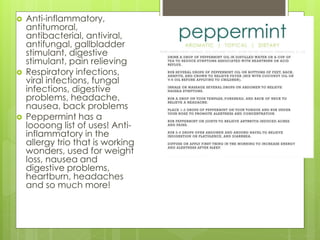  Anti-inflammatory,
antitumoral,
antibacterial, antiviral,
antifungal, gallbladder
stimulant, digestive
stimulant, pain relieving
 Respiratory infections,
viral infections, fungal
infections, digestive
problems, headache,
nausea, back problems
 Peppermint has a
loooong list of uses! Anti-
inflammatory in the
allergy trio that is working
wonders, used for weight
loss, nausea and
digestive problems,
heartburn, headaches
and so much more!
 