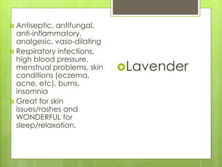  Antiseptic, antifungal,
anti-inflammatory,
analgesic, vaso-dilating
 Respiratory infections,
high blood pressure,
menstrual problems, skin
conditions (eczema,
acne, etc), burns,
insomnia
 Great for skin
issues/rashes and
WONDERFUL for
sleep/relaxation.
Lavender
 