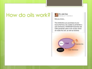 How do oils work?
 