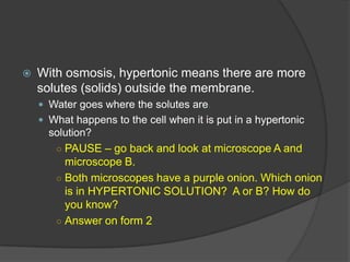 Mitosis – Meiosis cont.Which part is mitosis – PMAT - prophase, metaphase, anaphase, telophaseThis picture is metaphasePAUSE the video – go to the microscopes and count the cells in MetaphaseAsk the station manager for helpCome back and put answer on the form