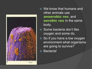OsmosisOsmosis is diffusion across a membraneDiffusion is movement from high concentration to low concentration.PAUSE Using diffusion – go to “form 2” and answer the diffusion questions “expain why when someone puts on lotion you can smell it?”Low concentrationHigh concentration