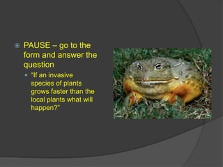 PAUSE.Go to the form and answer the question, “what organisms can live in a low oxygen environment.”What organisms need an high oxygen environment. 